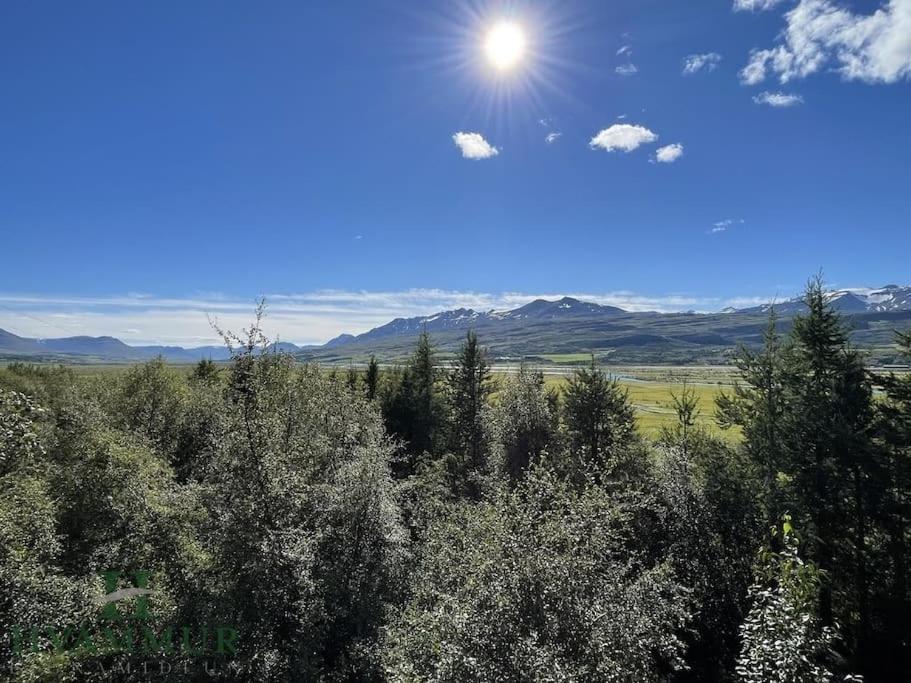 Forest Hideaway Near Akureyri Esterno foto